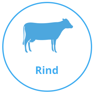 Rind.png