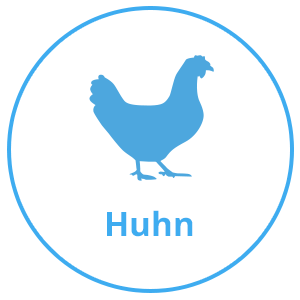 Huhn.png