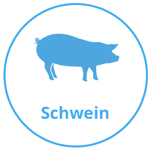 Schwein.png