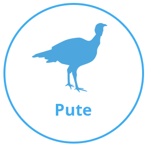 Pute.png